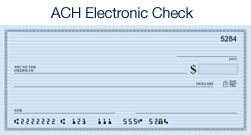 Electronic Check